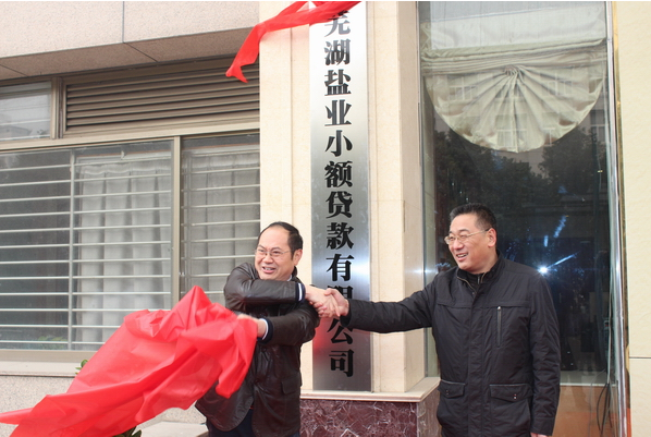 芜湖尊龙时凯小额贷款有限公司12月26日举行开业庆典