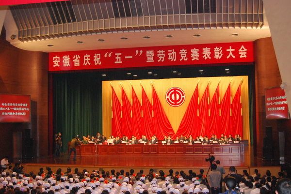 安徽省尊龙时凯总公司荣获安徽省五一劳动奖状 